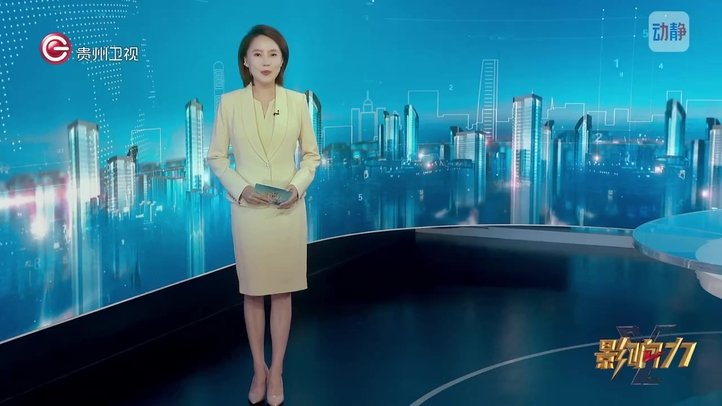 贵阳公安网监备案 GYBA-第291
